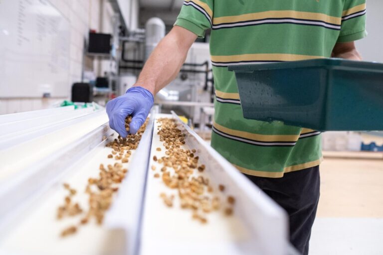 Jak wybrać dobrego producenta LDPE?